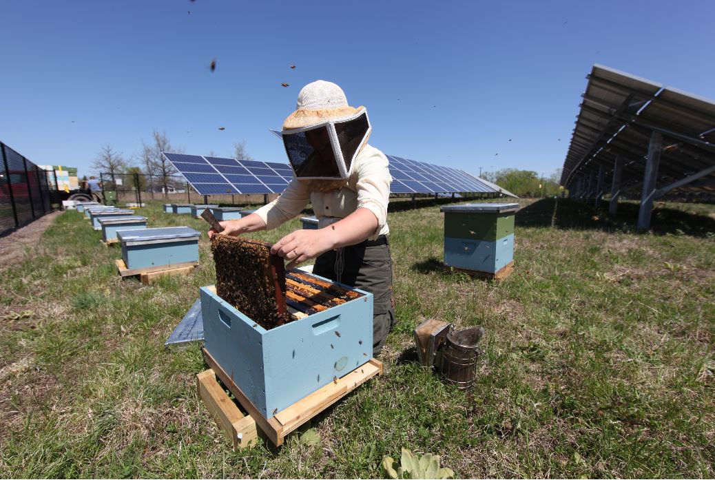 MVCC Beekeeping Feasibility Study