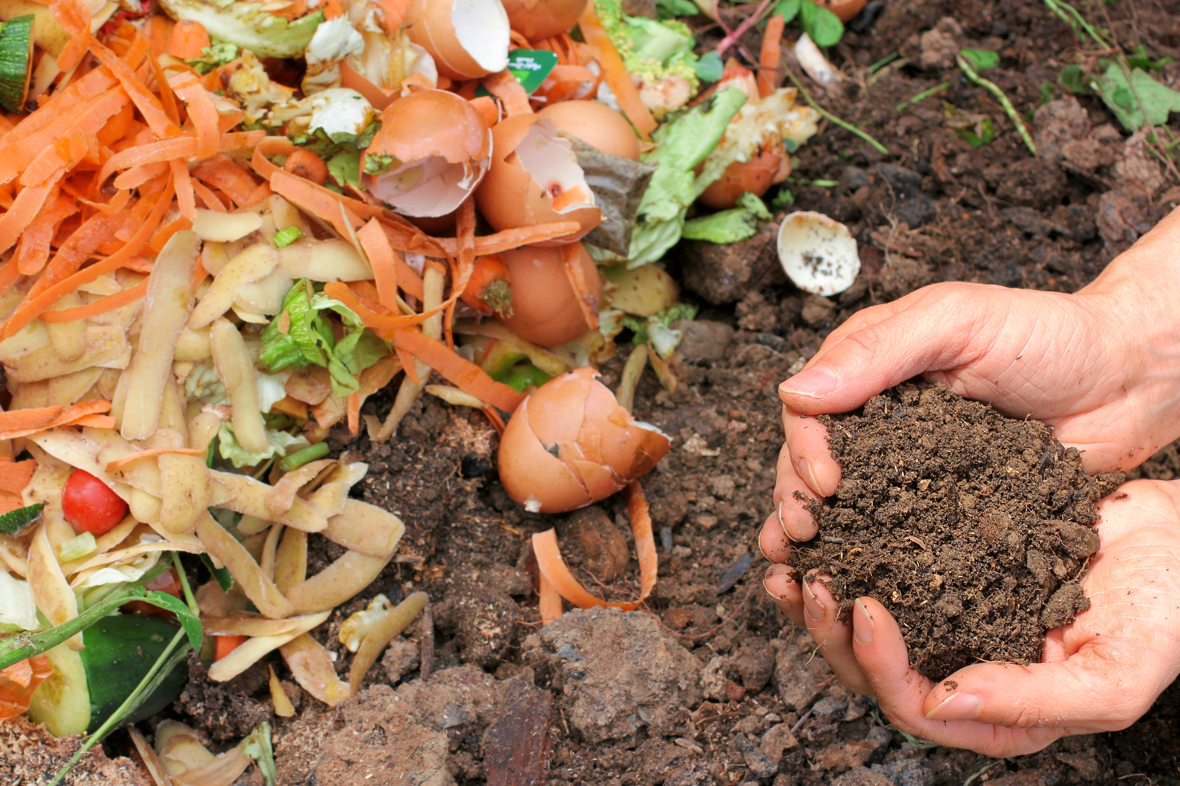 Compost With Composted Earth Lakewinds Food Co Op